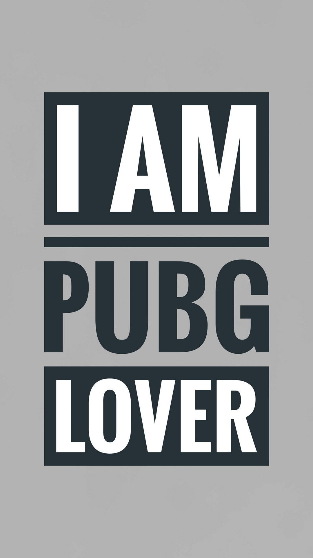 Gray Pubg Lover Typography Background