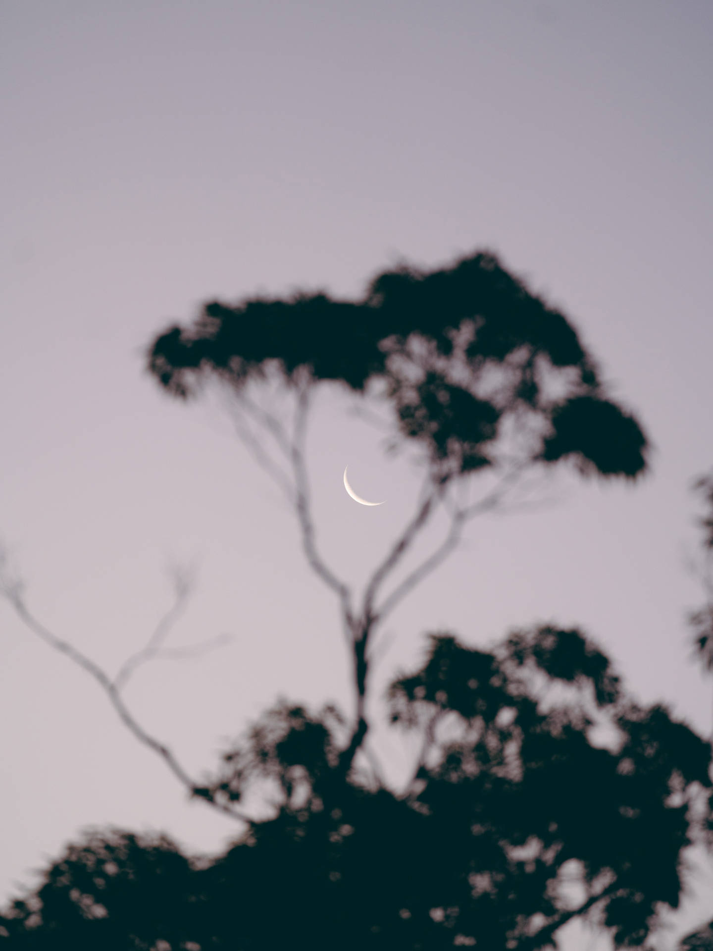 Gray Sky And Crescent Moon Background
