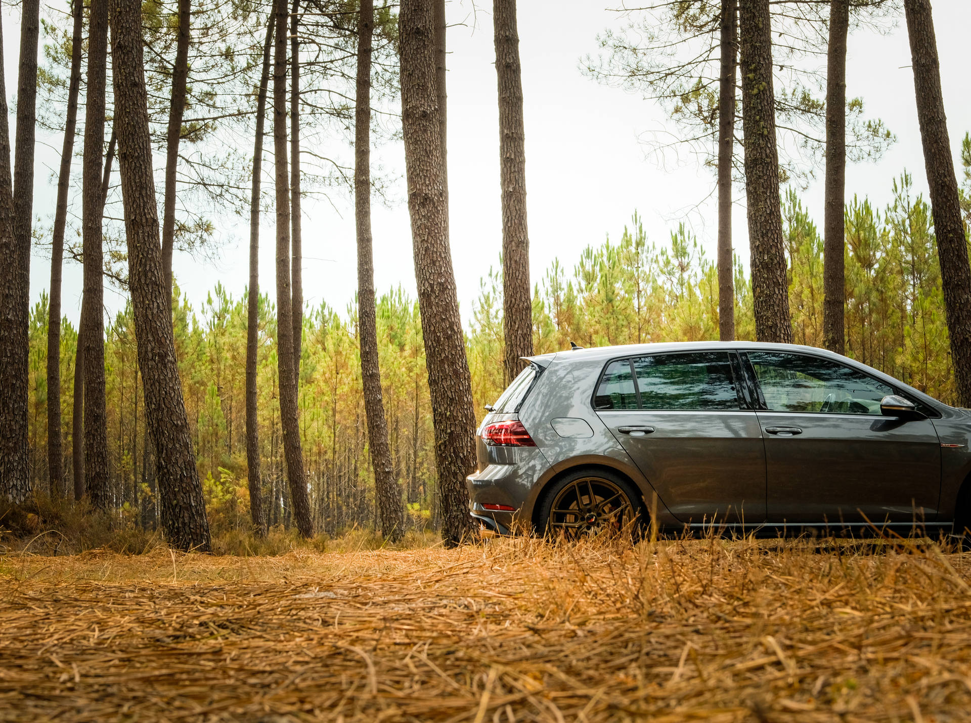 Gray Volkswagen Golf Gti In Forest Background