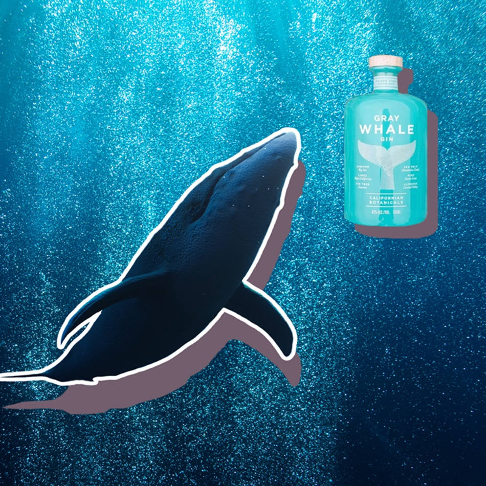 Gray Whale Gin Alcohol Background