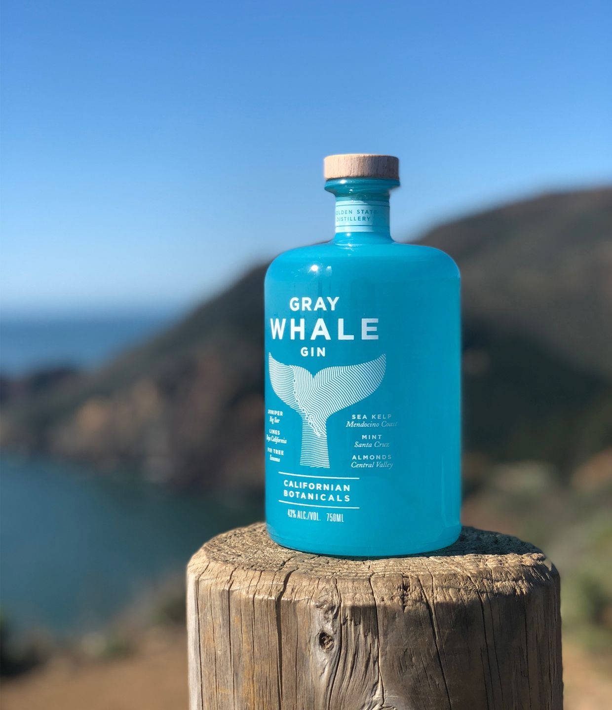 Gray Whale Gin Cool Background