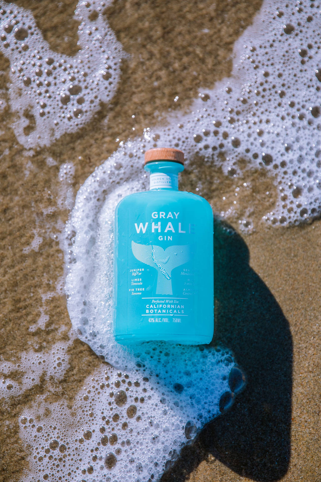 Gray Whale Gin Laying Background