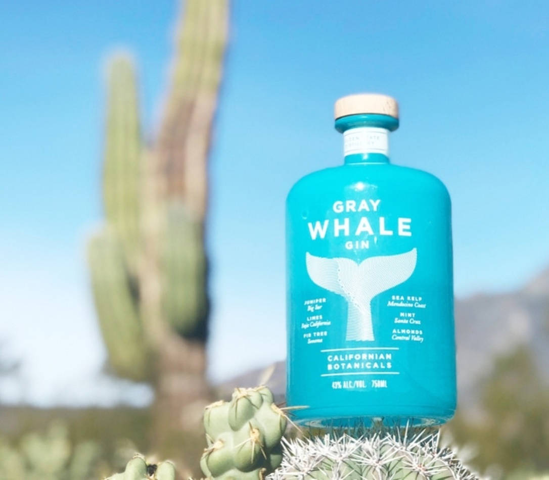 Gray Whale Gin Outdoor Background