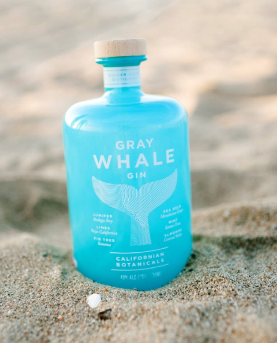 Gray Whale Gin Sand Background