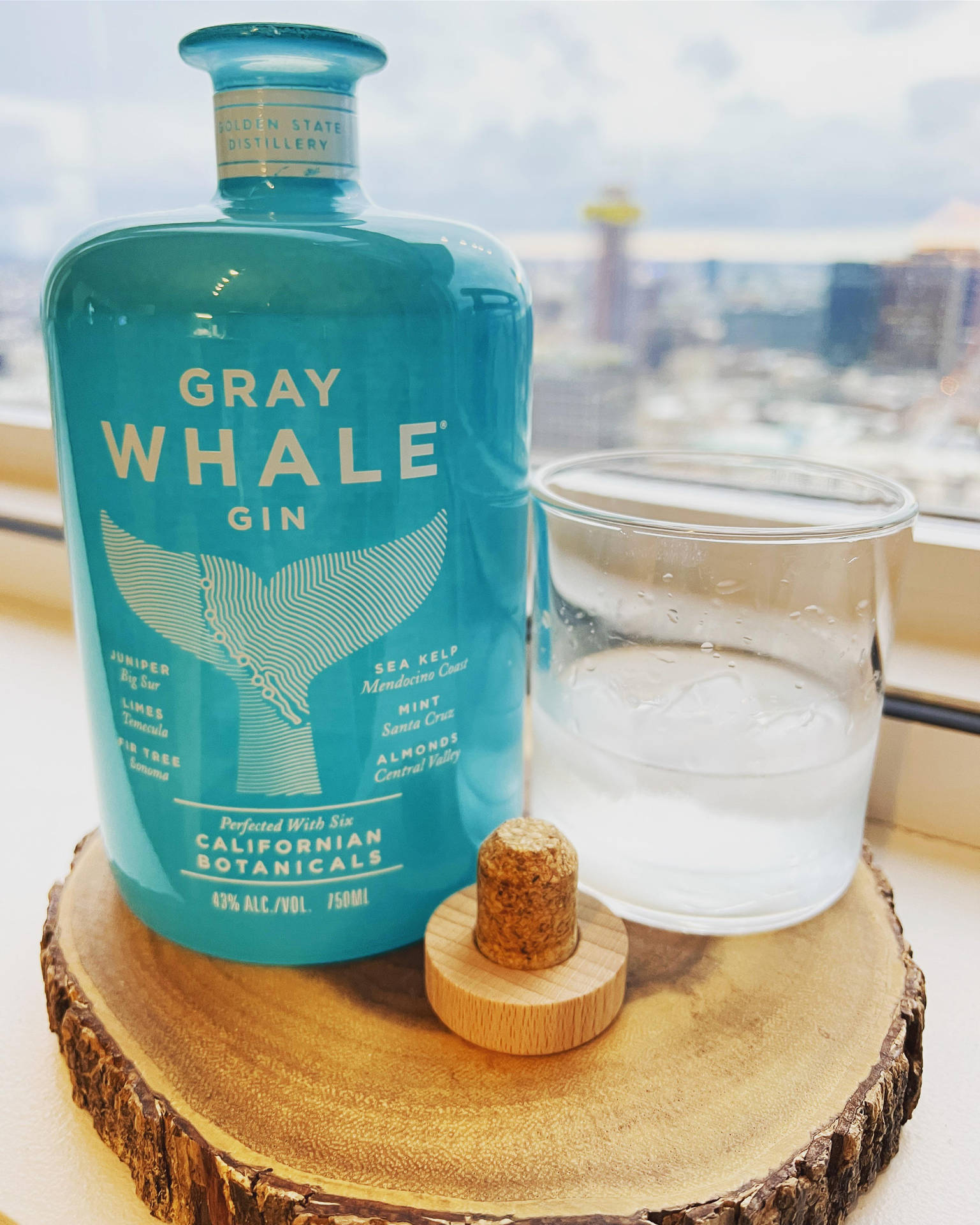 Gray Whale Gin Window Background