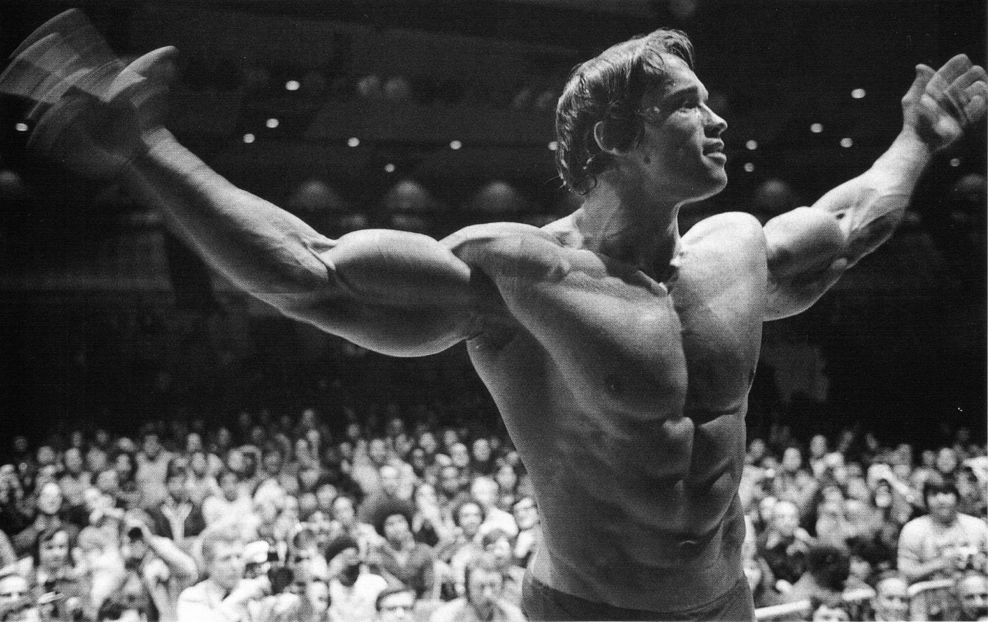 Grayscale Celebrity Fame Arnold Schwarzenegger Background