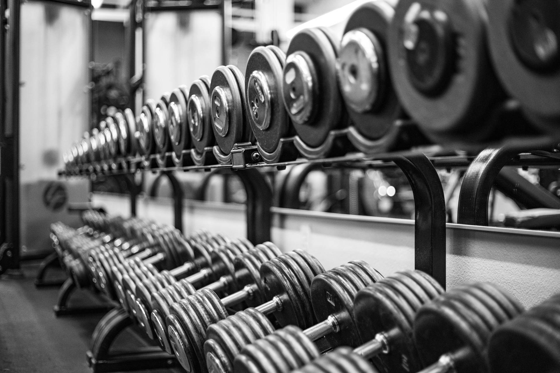 Grayscale Dumbbells For Weightlifting Background