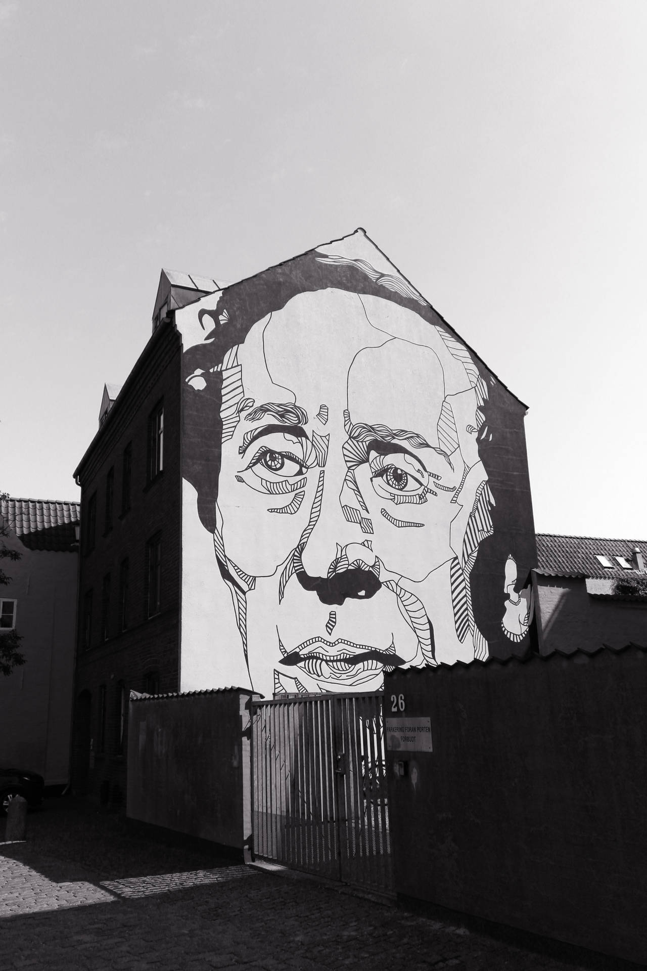 Grayscale Face Building Street Art Background