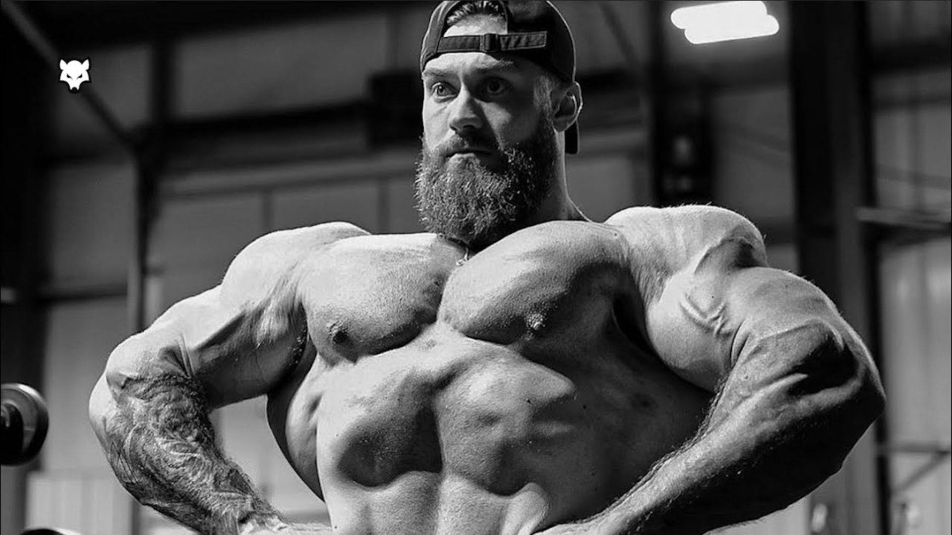 Grayscale Front Lat Spread Chris Bumstead Background
