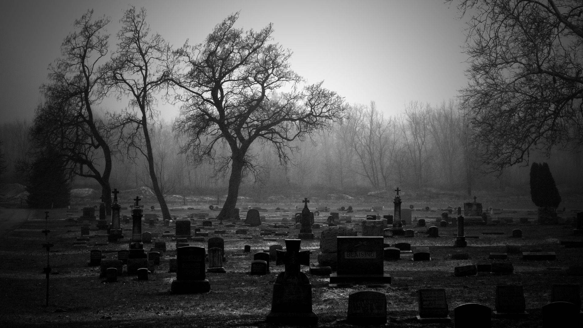 Grayscale Graveyard Background