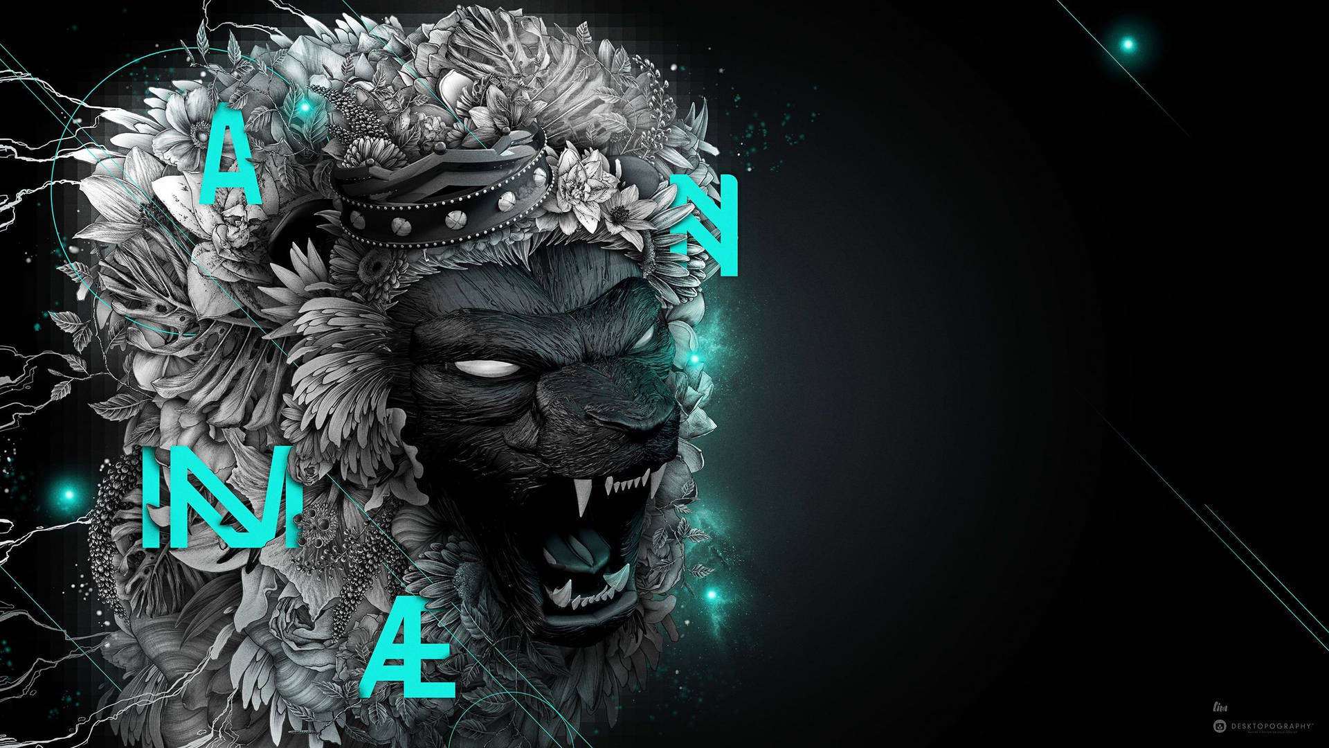 Grayscale Lion For 1440p Gaming Background Background