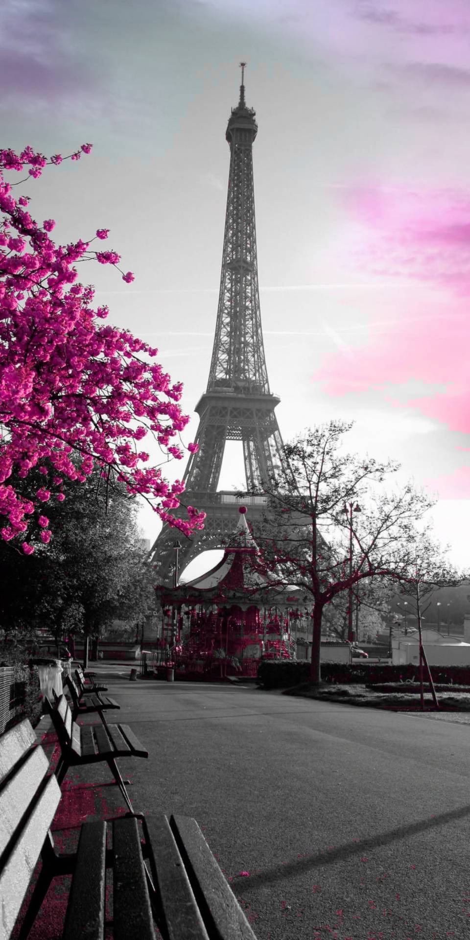 Grayscale Pink Paris Wallpaper Background