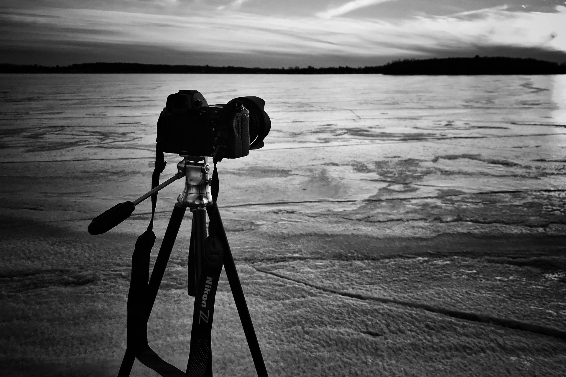 Grayscale Sea Photography Background