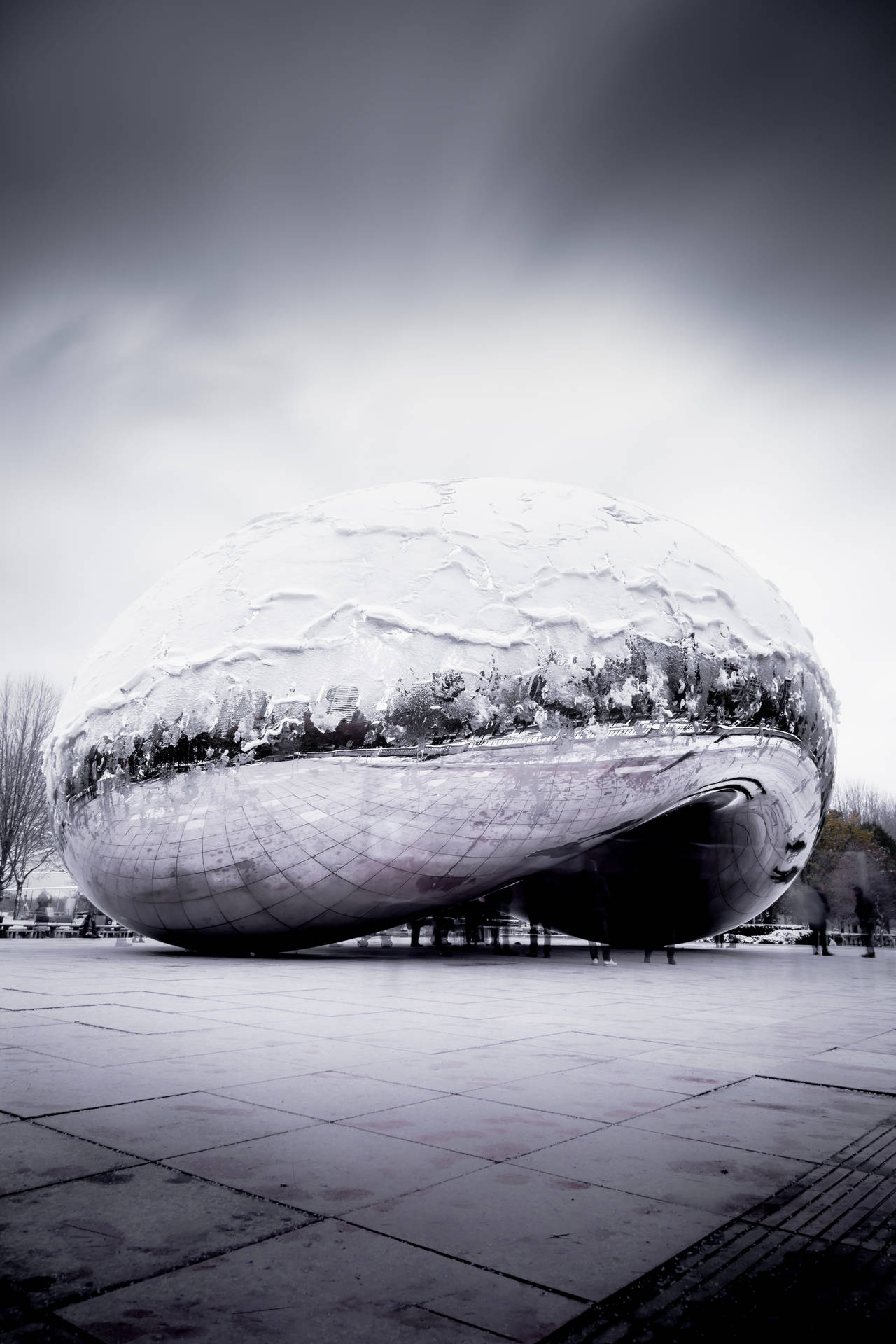 Grayscale The Bean Chicago