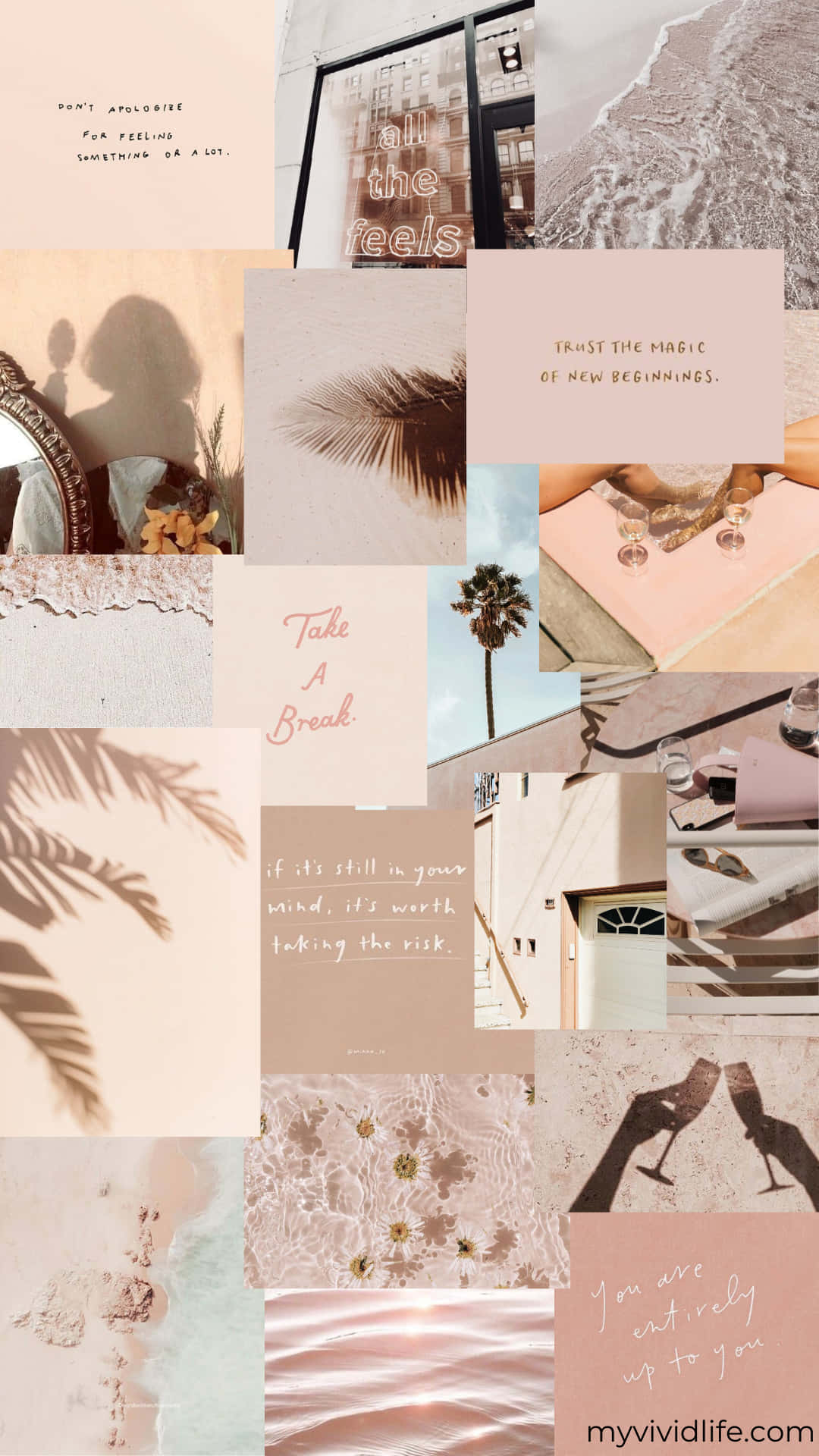 Great Aesthetic Moodboard Design Background