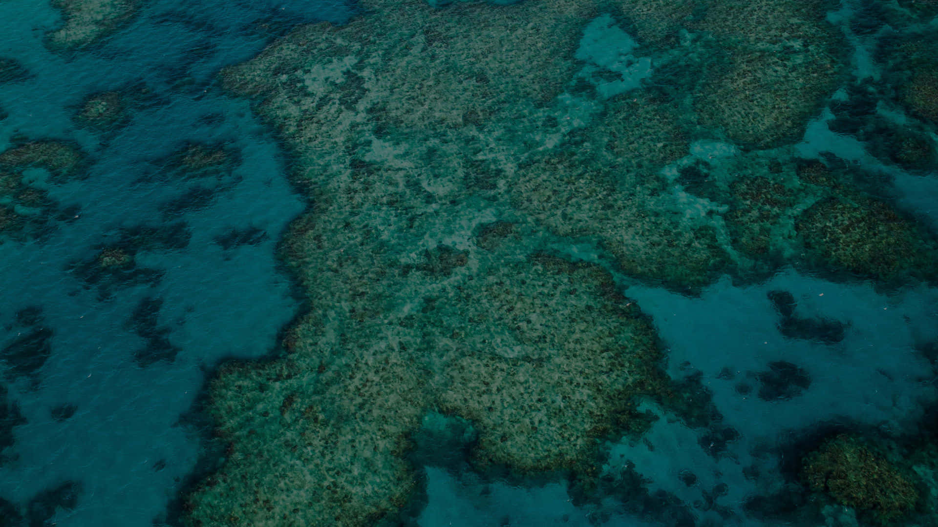 Great Barrier Reef Aerial View