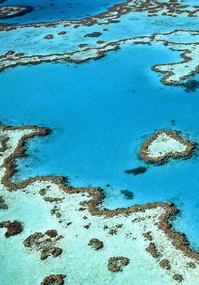 Great Barrier Reef Aerial View