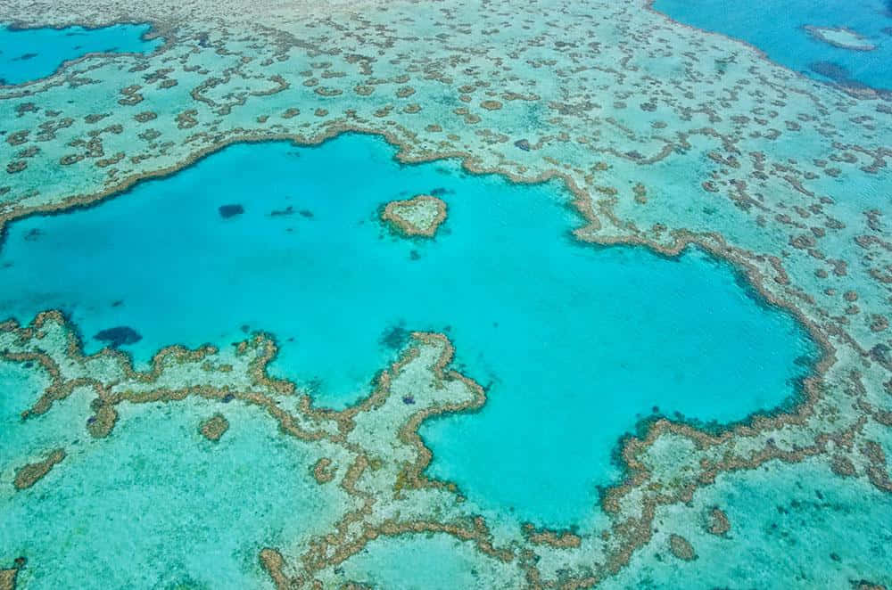 Great Barrier Reef Aerial View Background