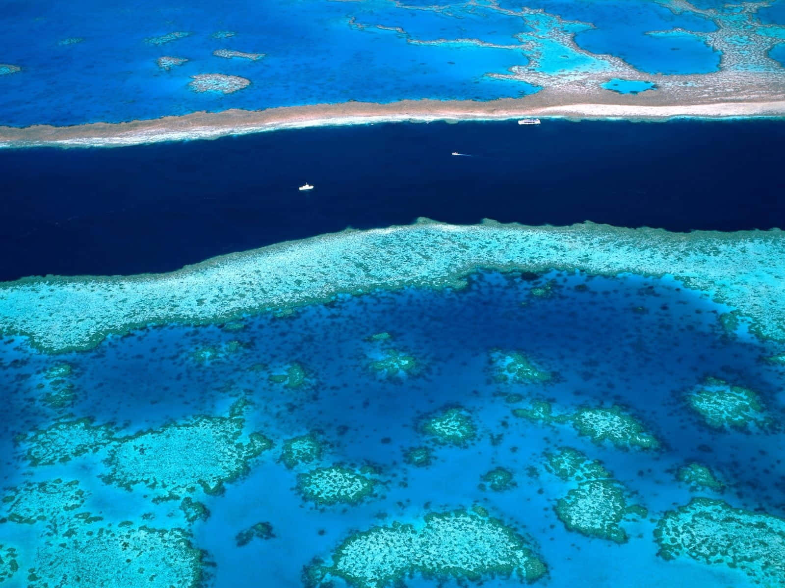 Great Barrier Reef Aerial View Background