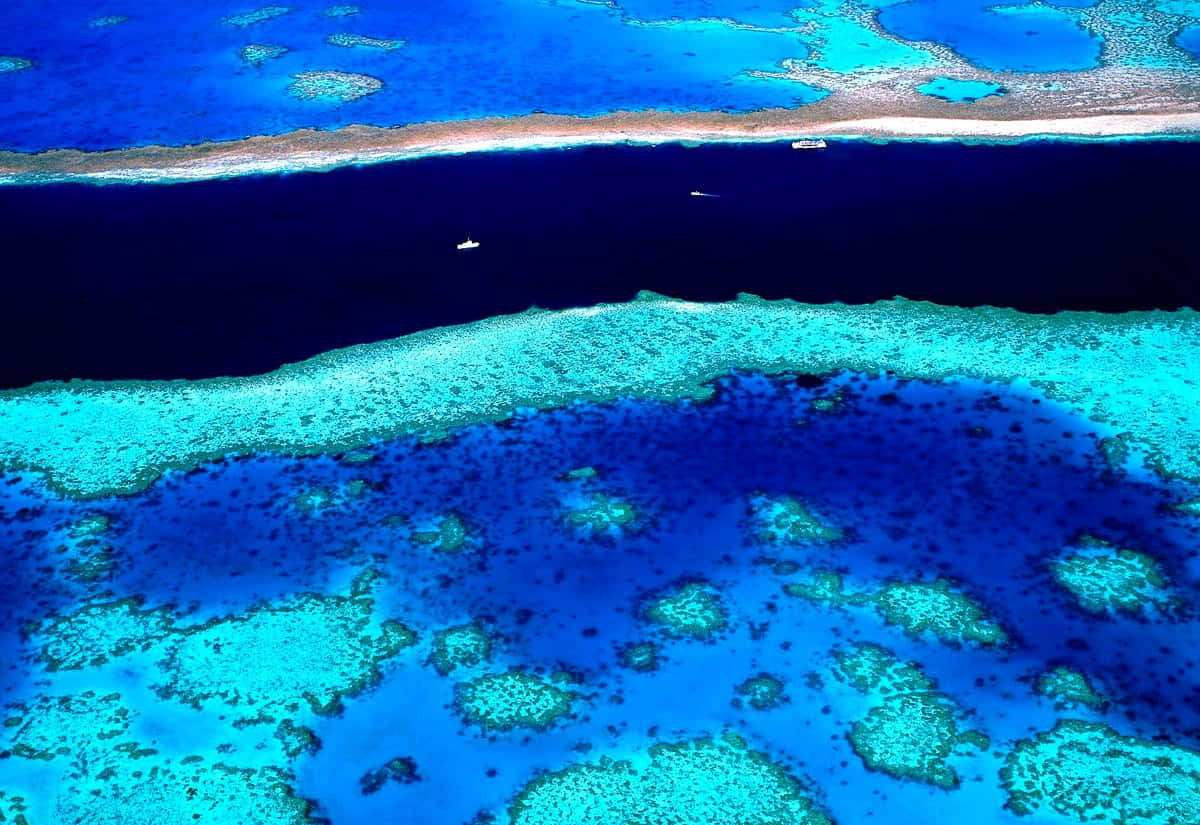 Great Barrier Reef Aerial View