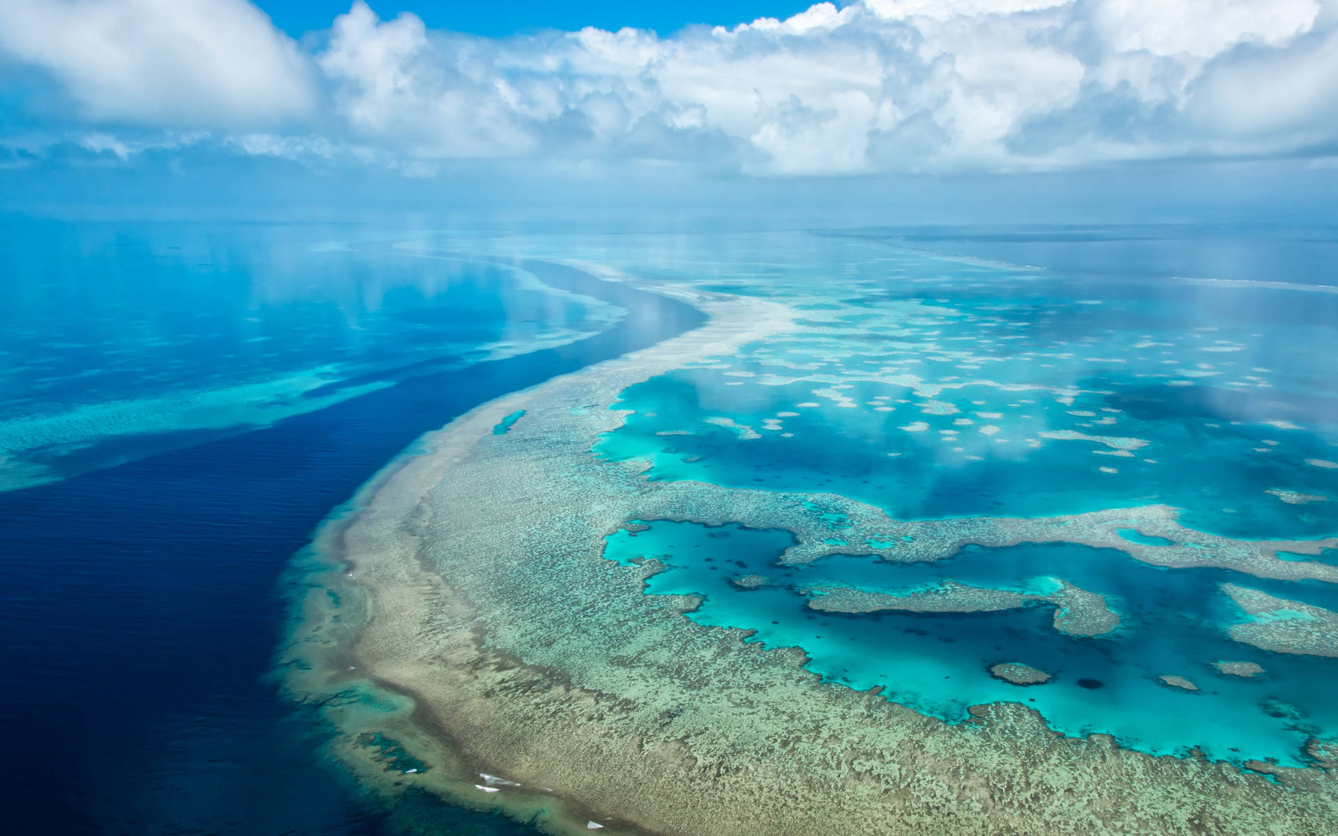 Great Barrier Reef Chromebook Background Background