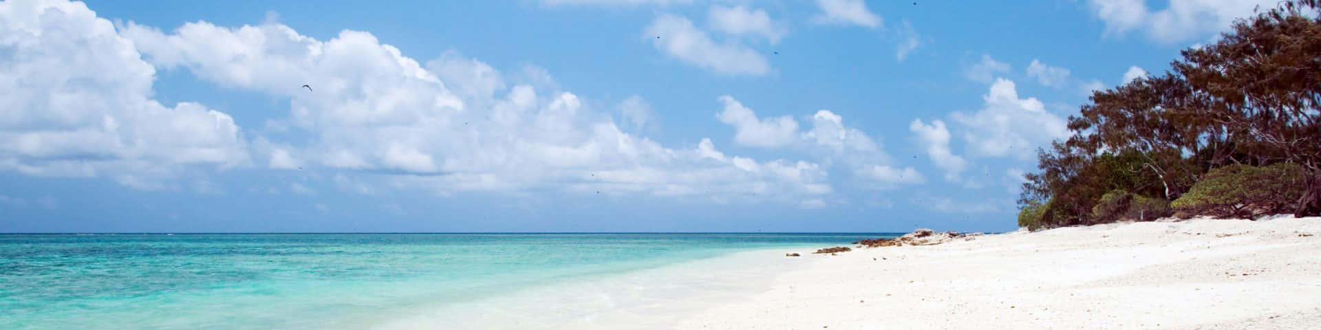 Great Barrier Reef Island Beach Panorama Background