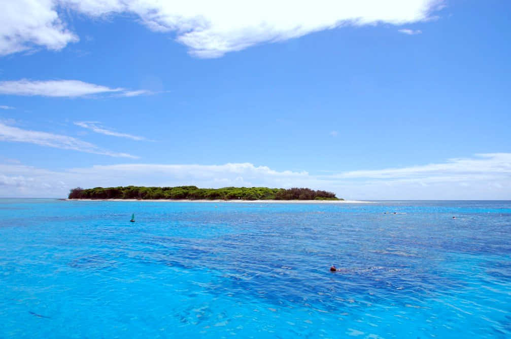 Great Barrier Reef Island Vista Background