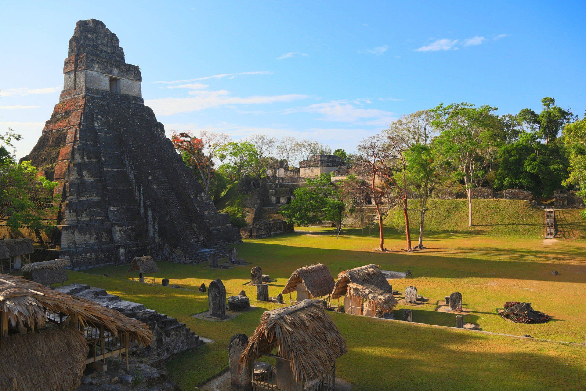 Great Jaguar Tikal Temple Guatemala Background