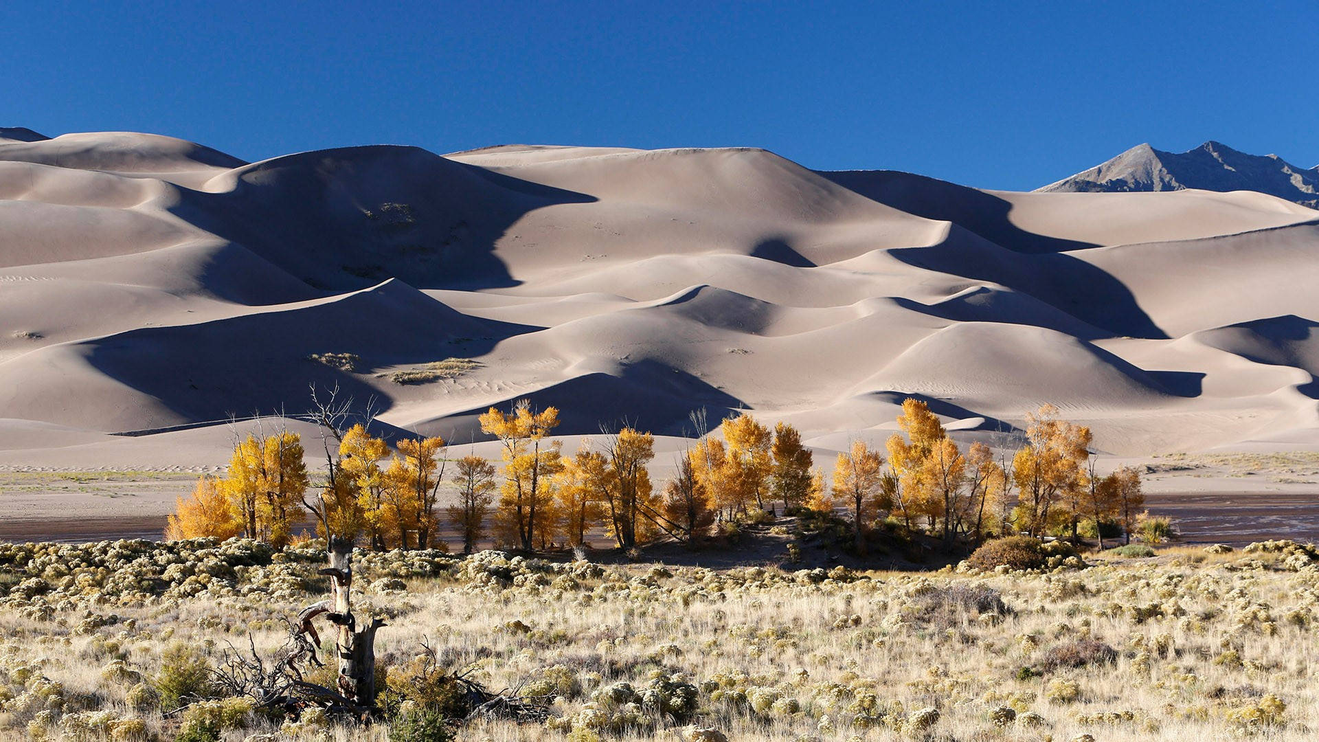 Great Sand Dunes Colorado