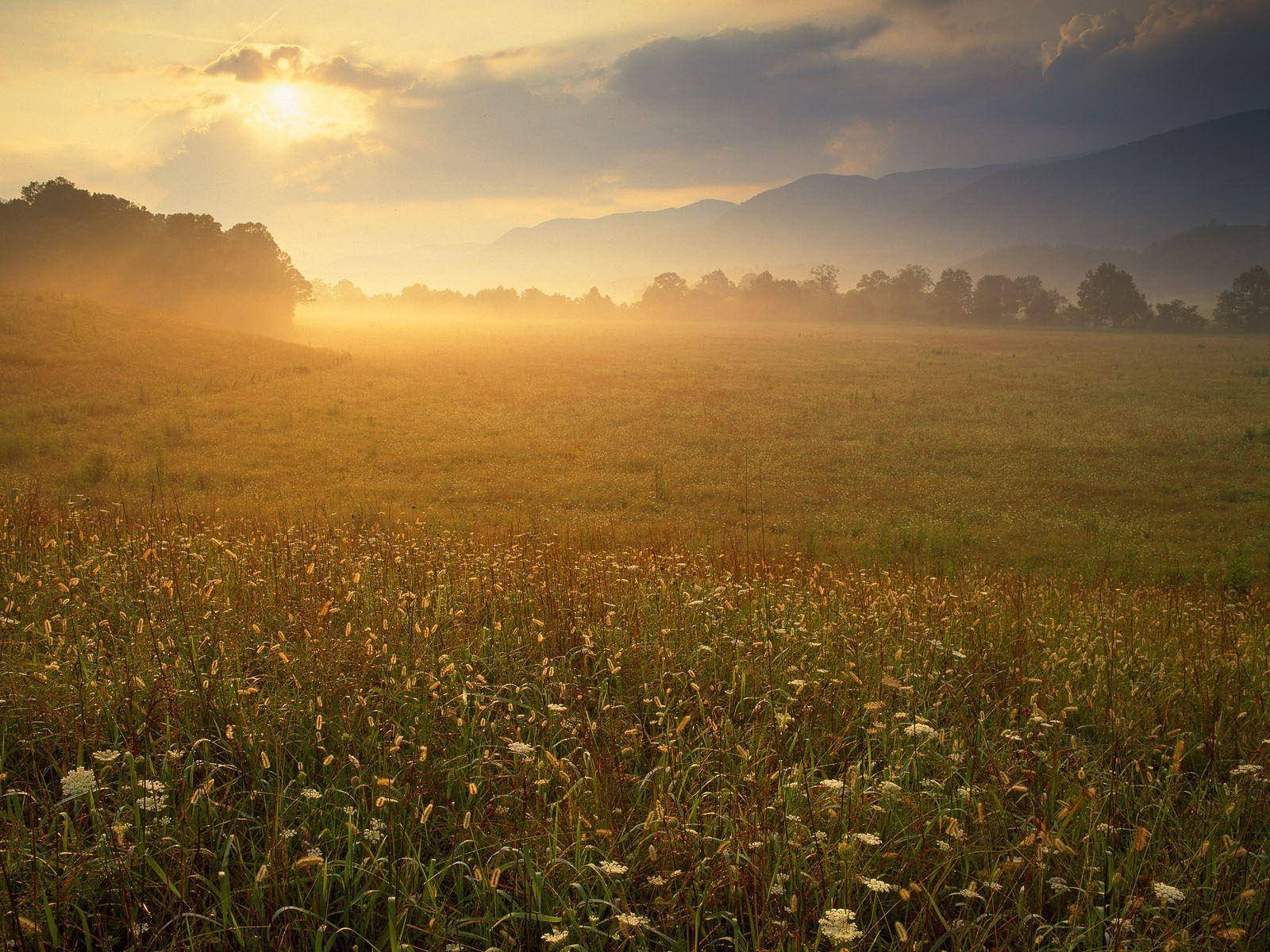 Great Smoky Mountains From A Distance Background