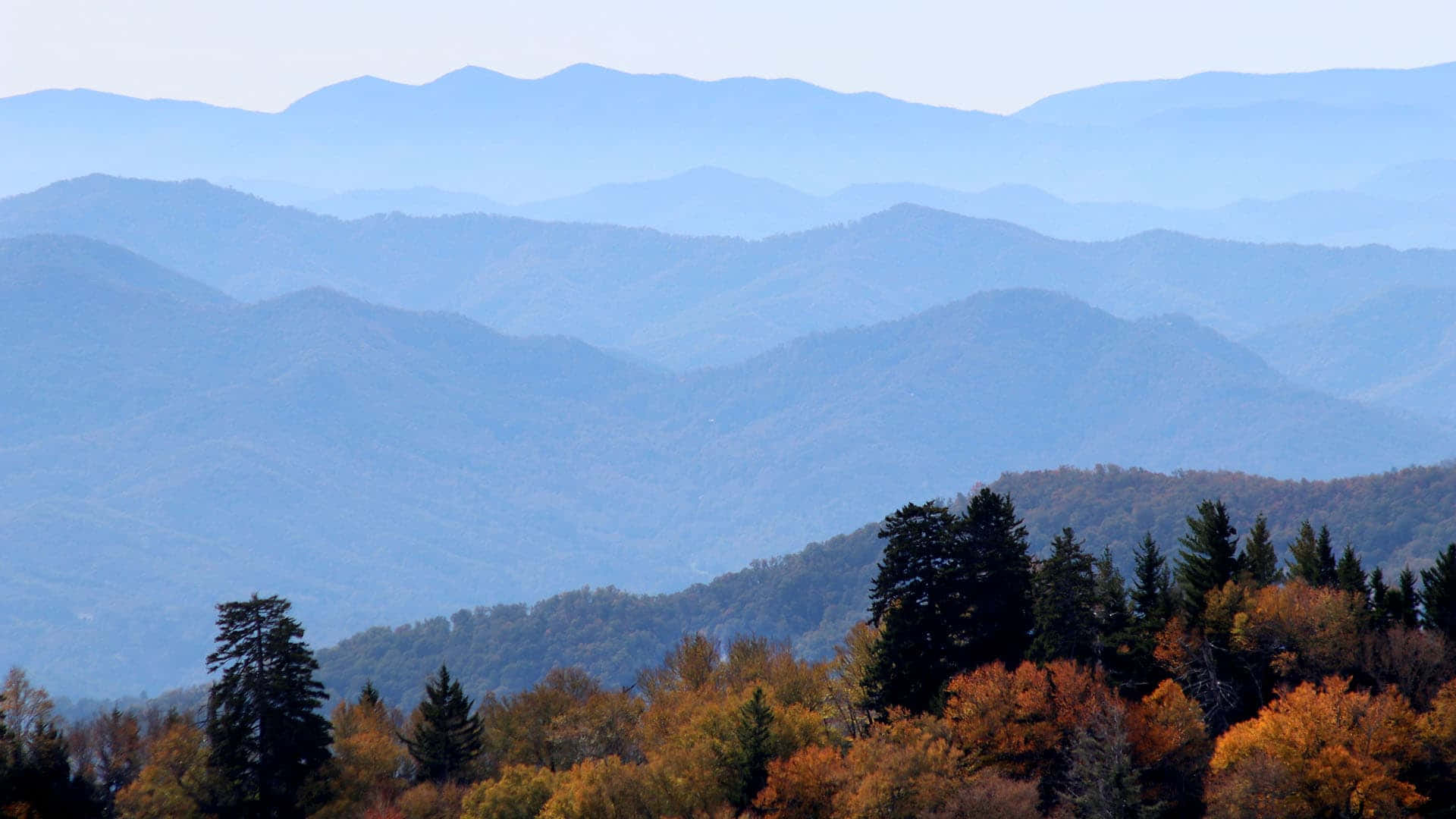 Great Smoky Mountains National Park Covered Background