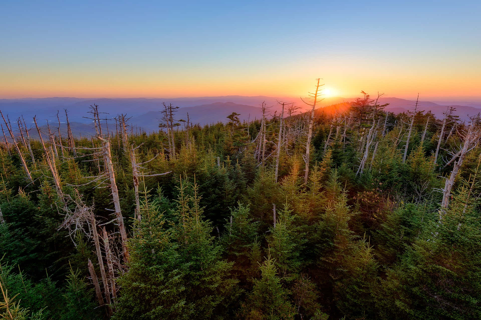 Great Smoky Mountains National Park Orange Background