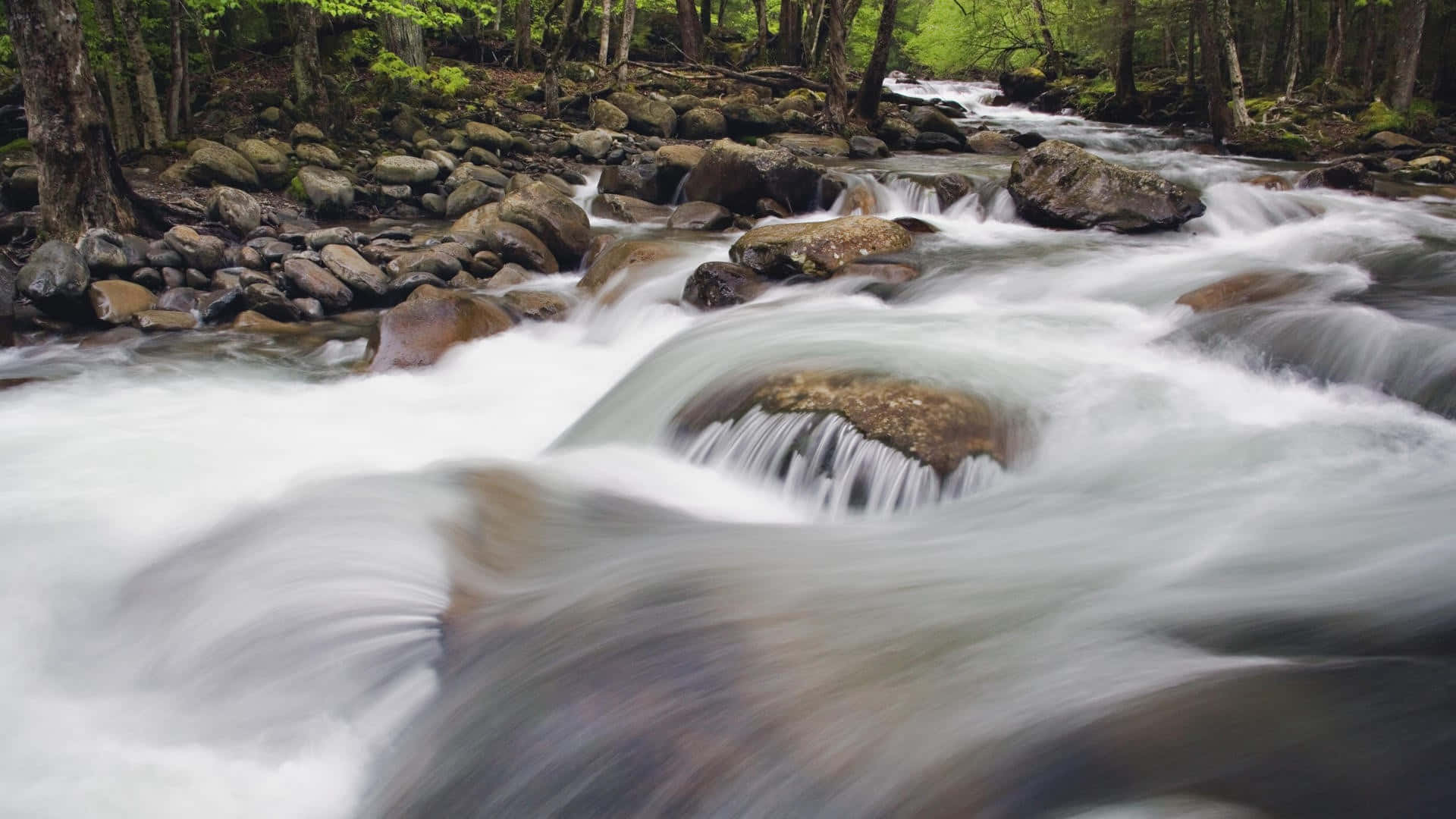 Great Smoky Mountains National Park River Flowing Background