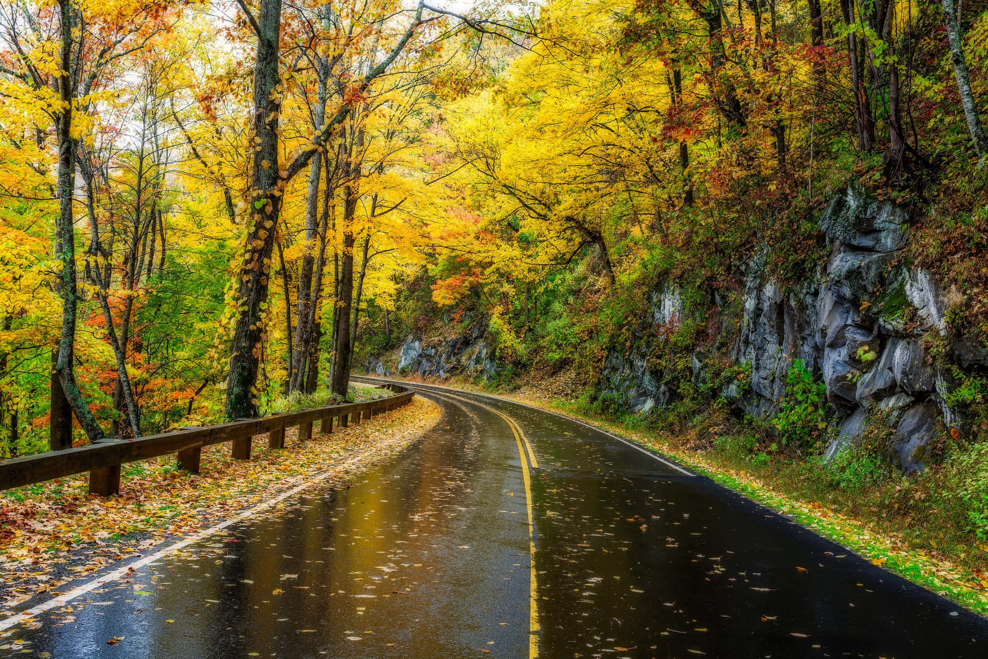 Great Smoky Mountains National Park Road Background
