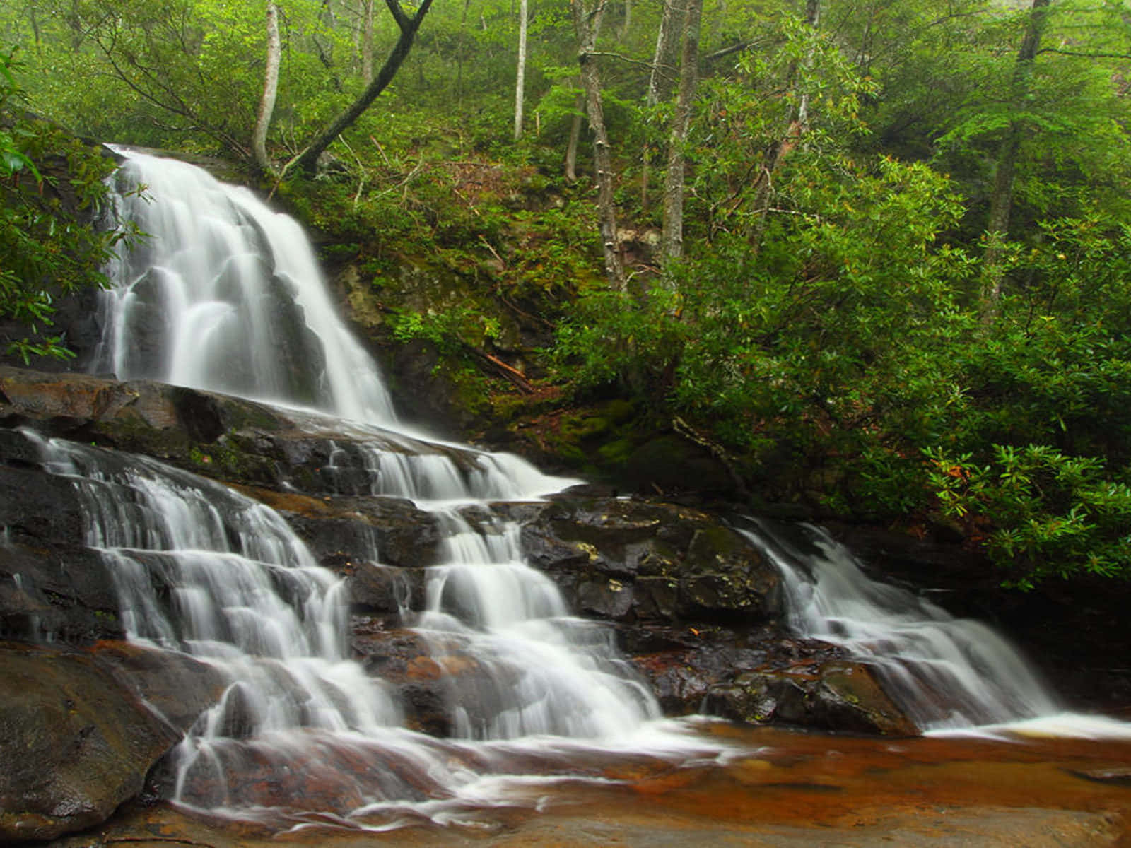 Great Smoky Mountains National Park Rock Formation Background
