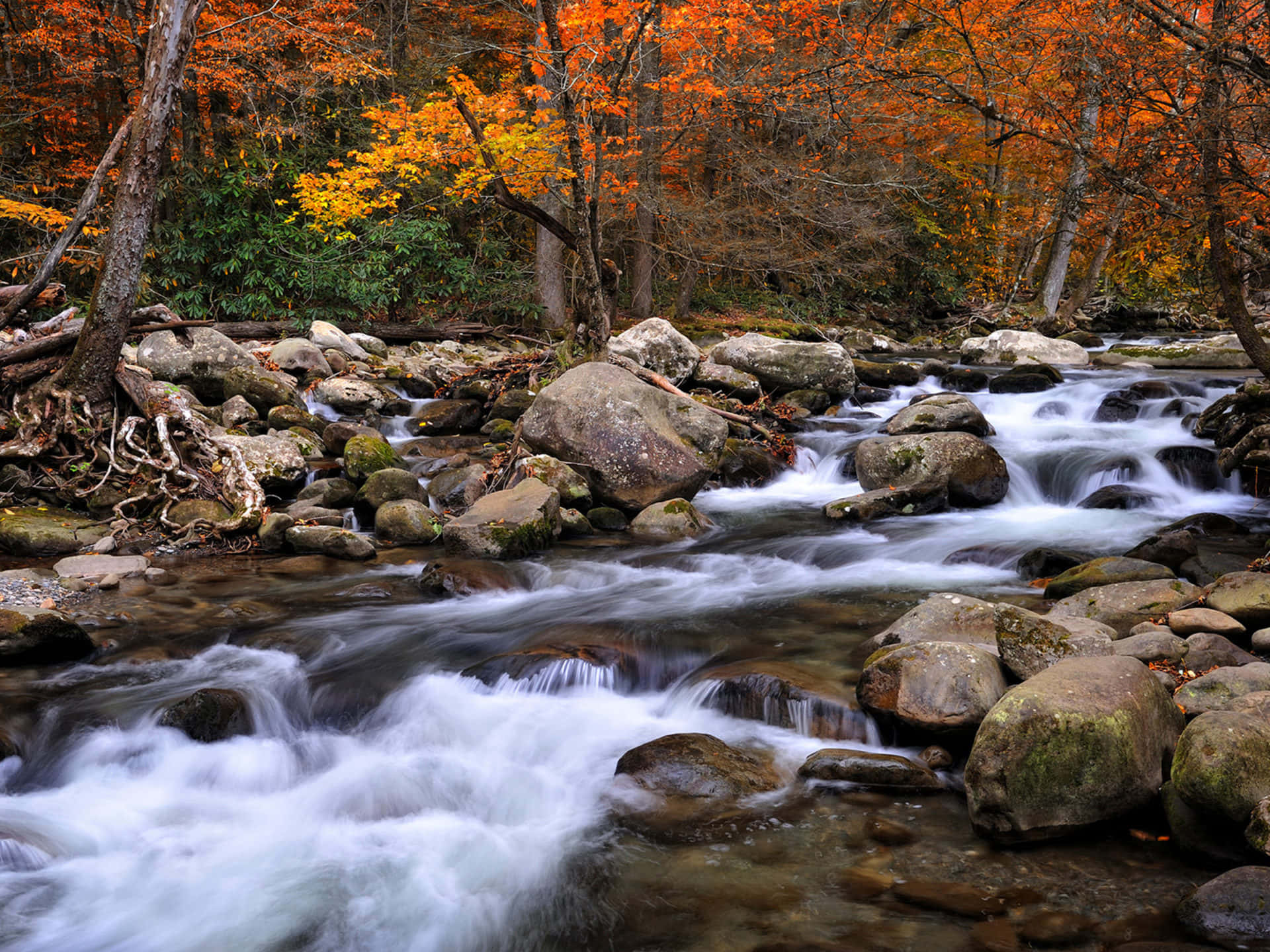 Great Smoky Mountains National Park Rocky Background