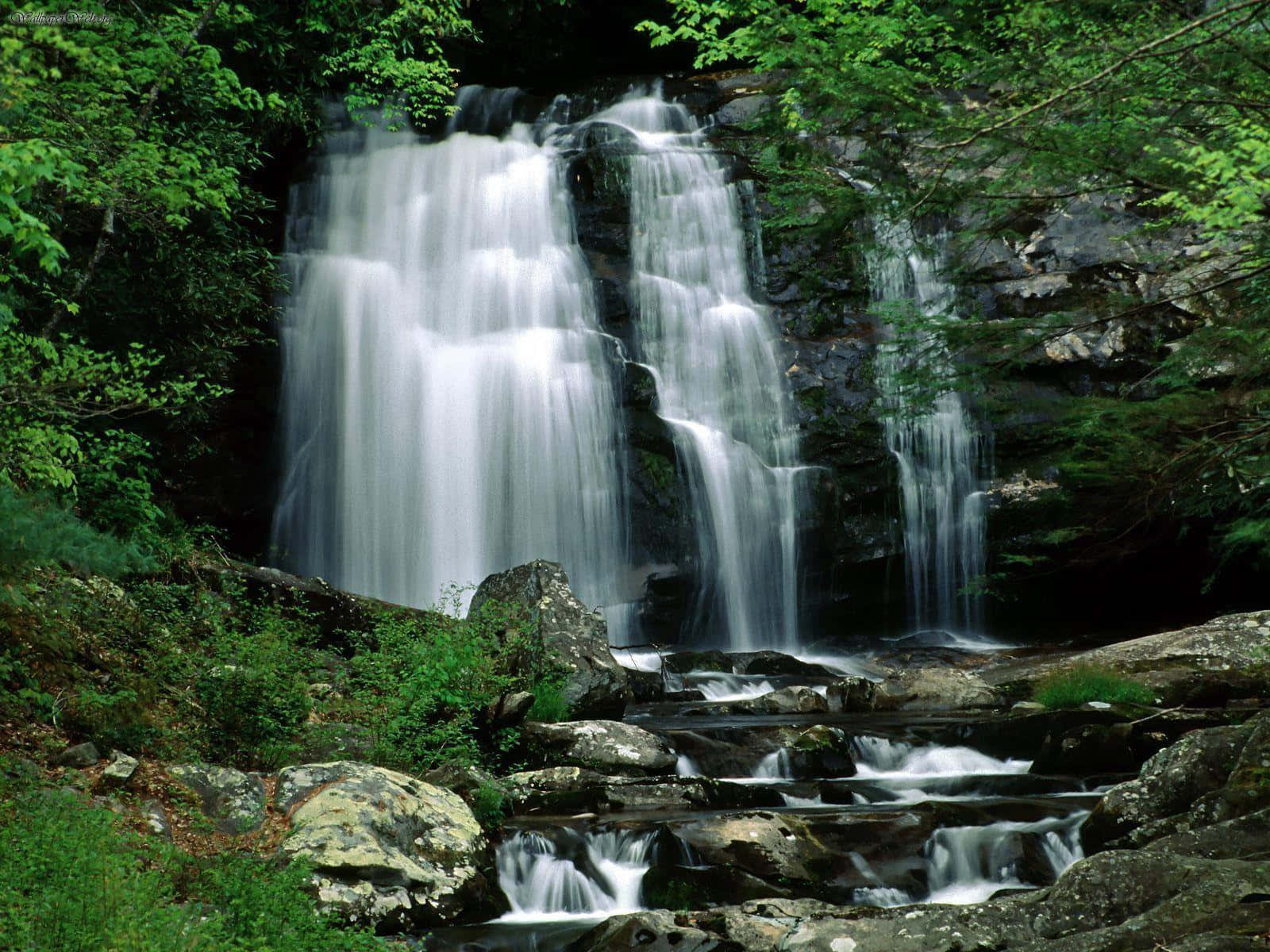 Great Smoky Mountains National Park Streams Background