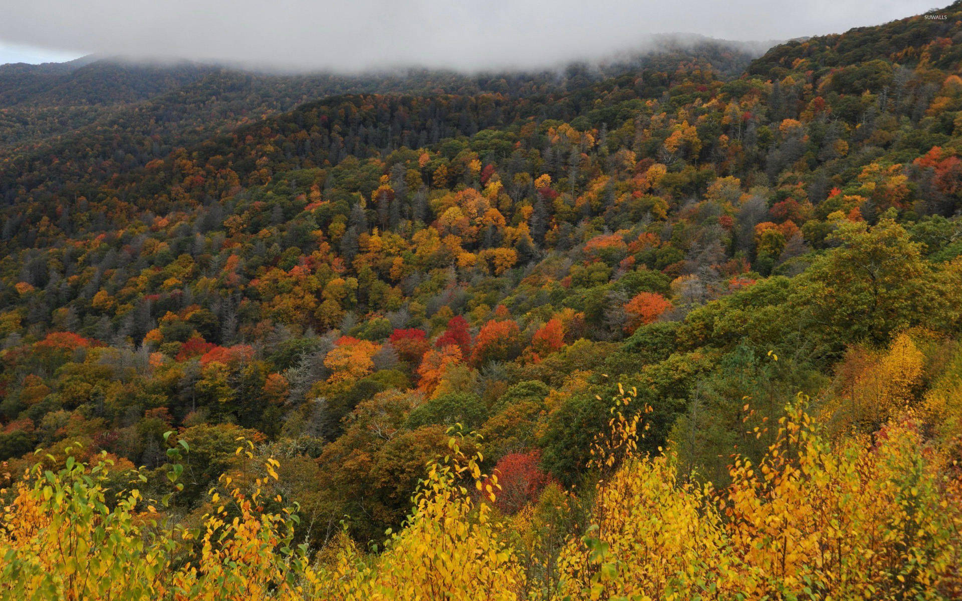 Great Smoky Mountains On Sunny Day Background