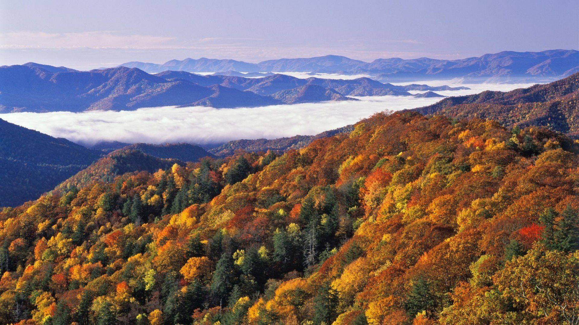 Great Smoky Mountains With Blue Sky Background