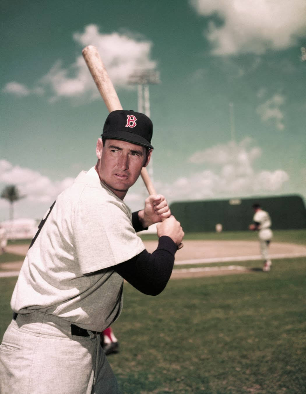 Greatest Hitter Ted Williams Background