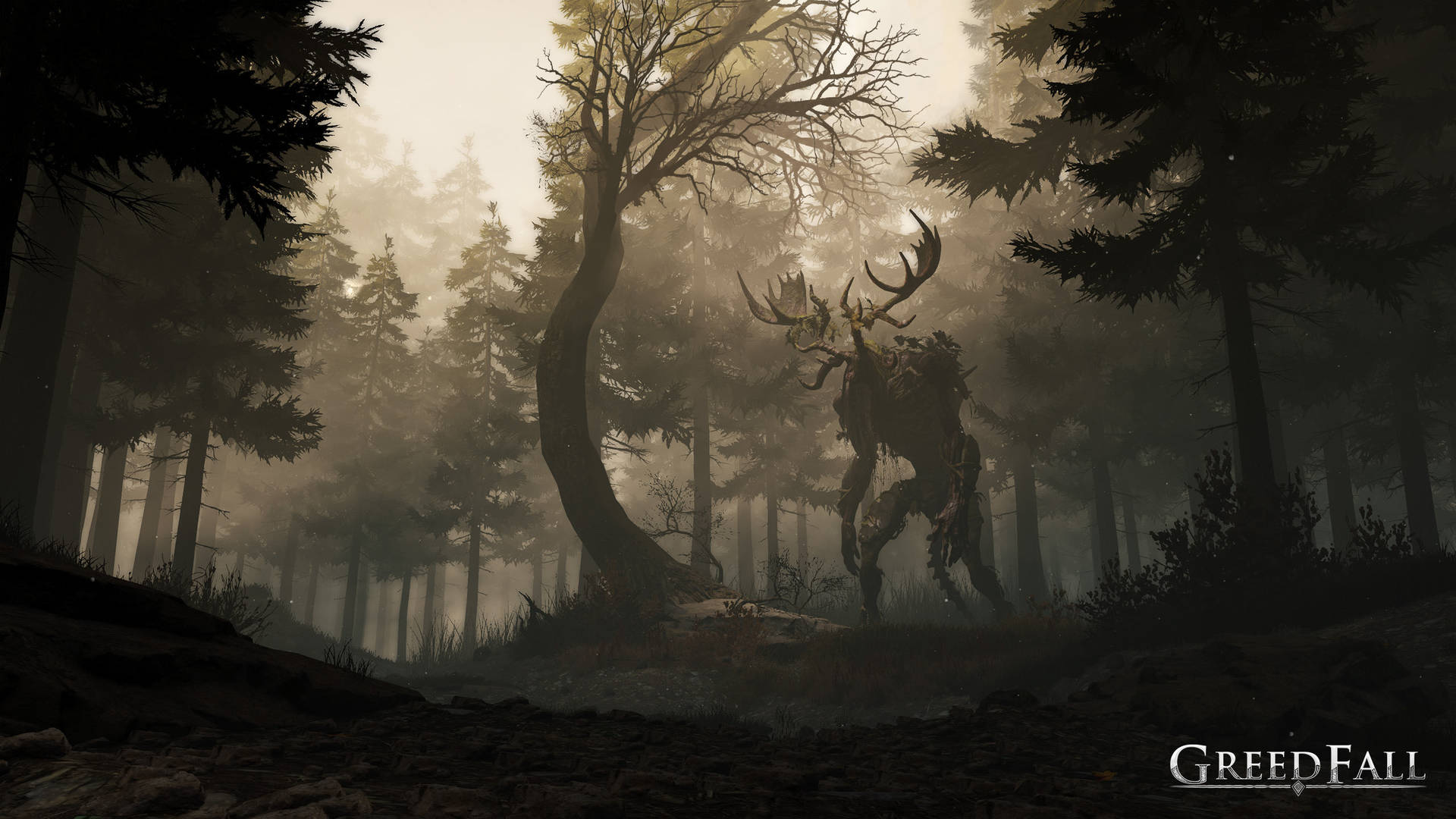 Greedfall Misty Forest Background
