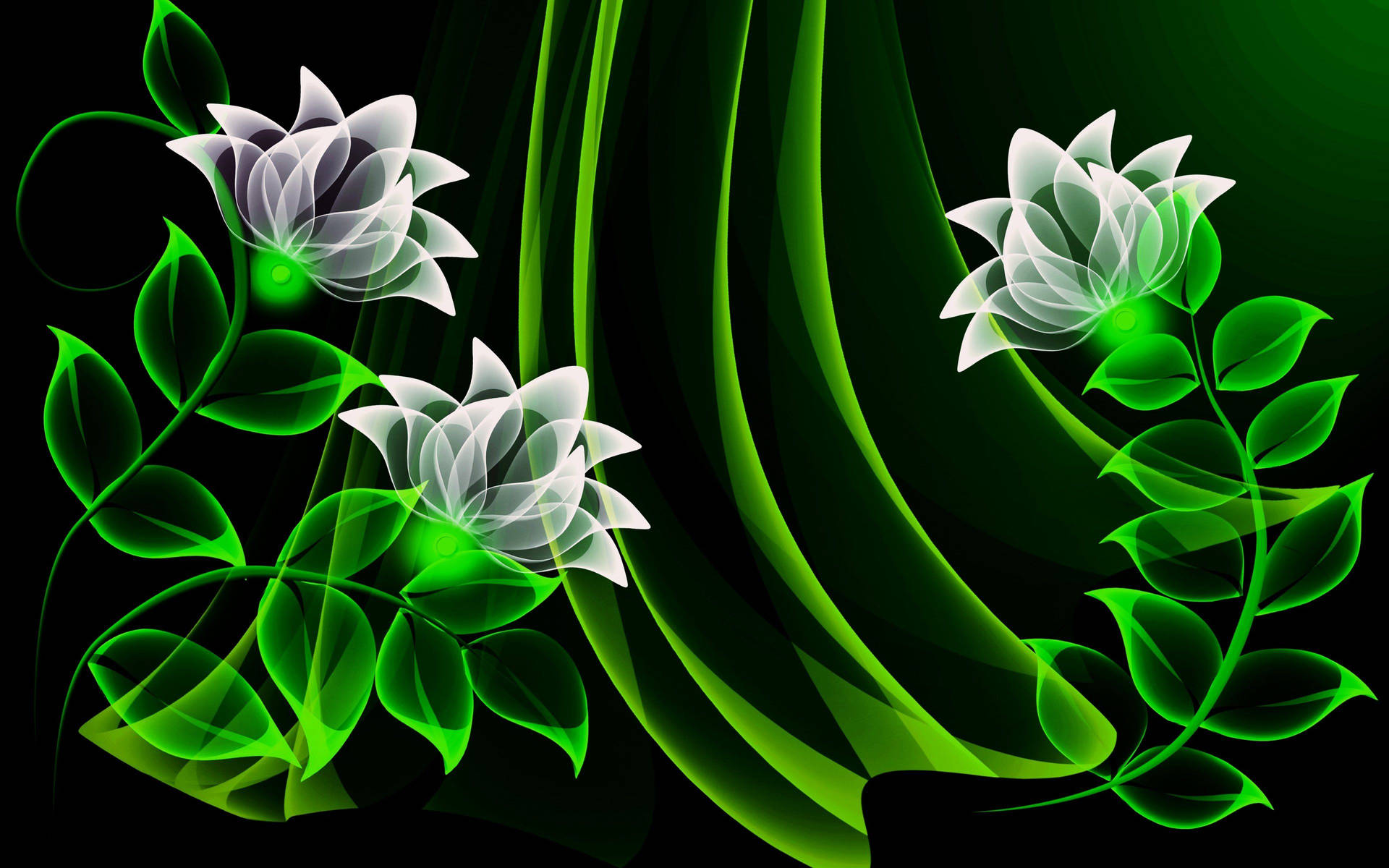 Green Abstract Of White Flowers Background