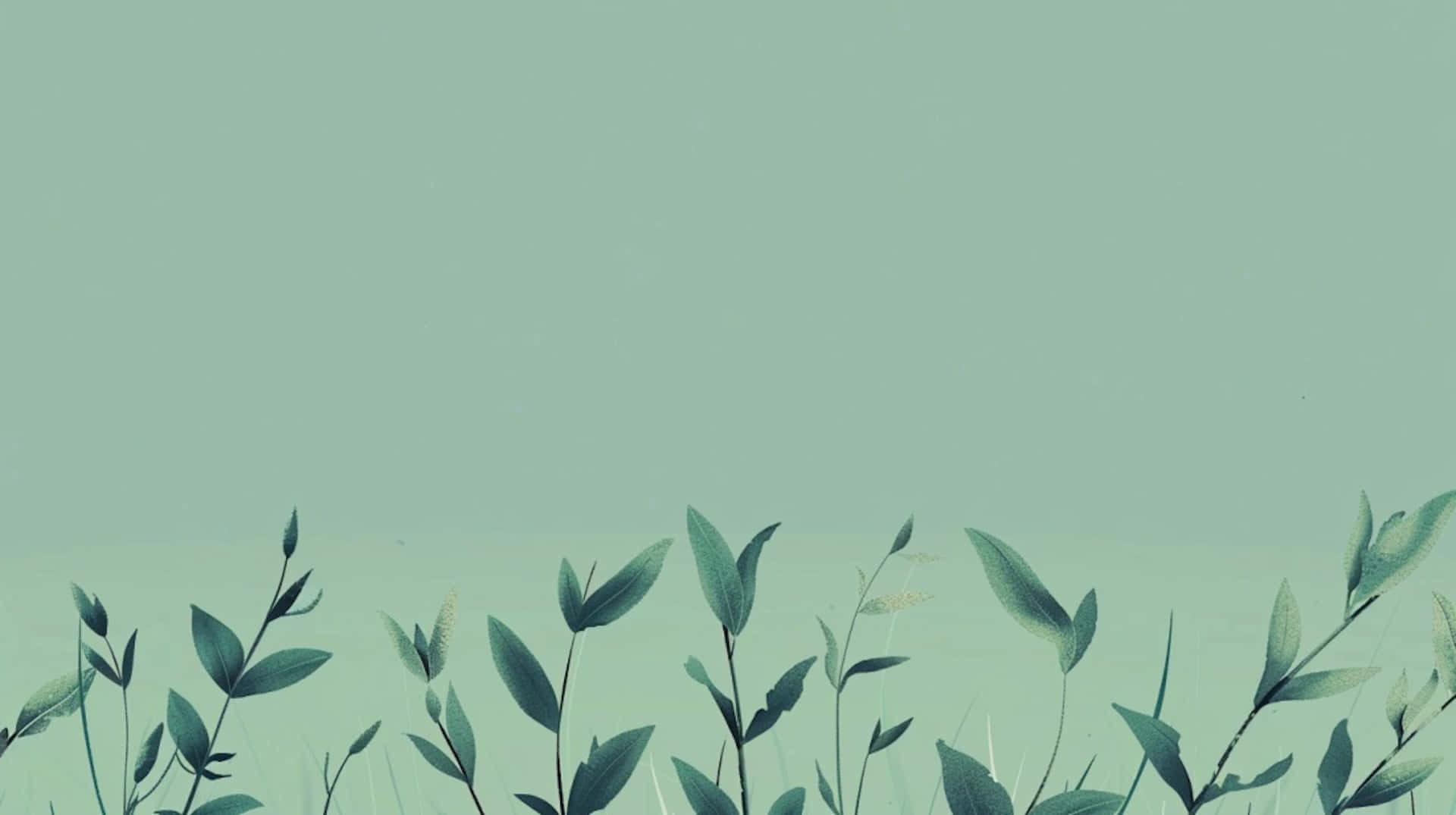 Green Aesthetic Floral Background Background