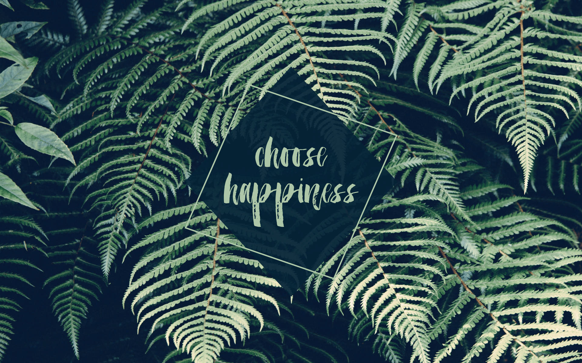 Green Aesthetic Tumblr Choose Happiness
