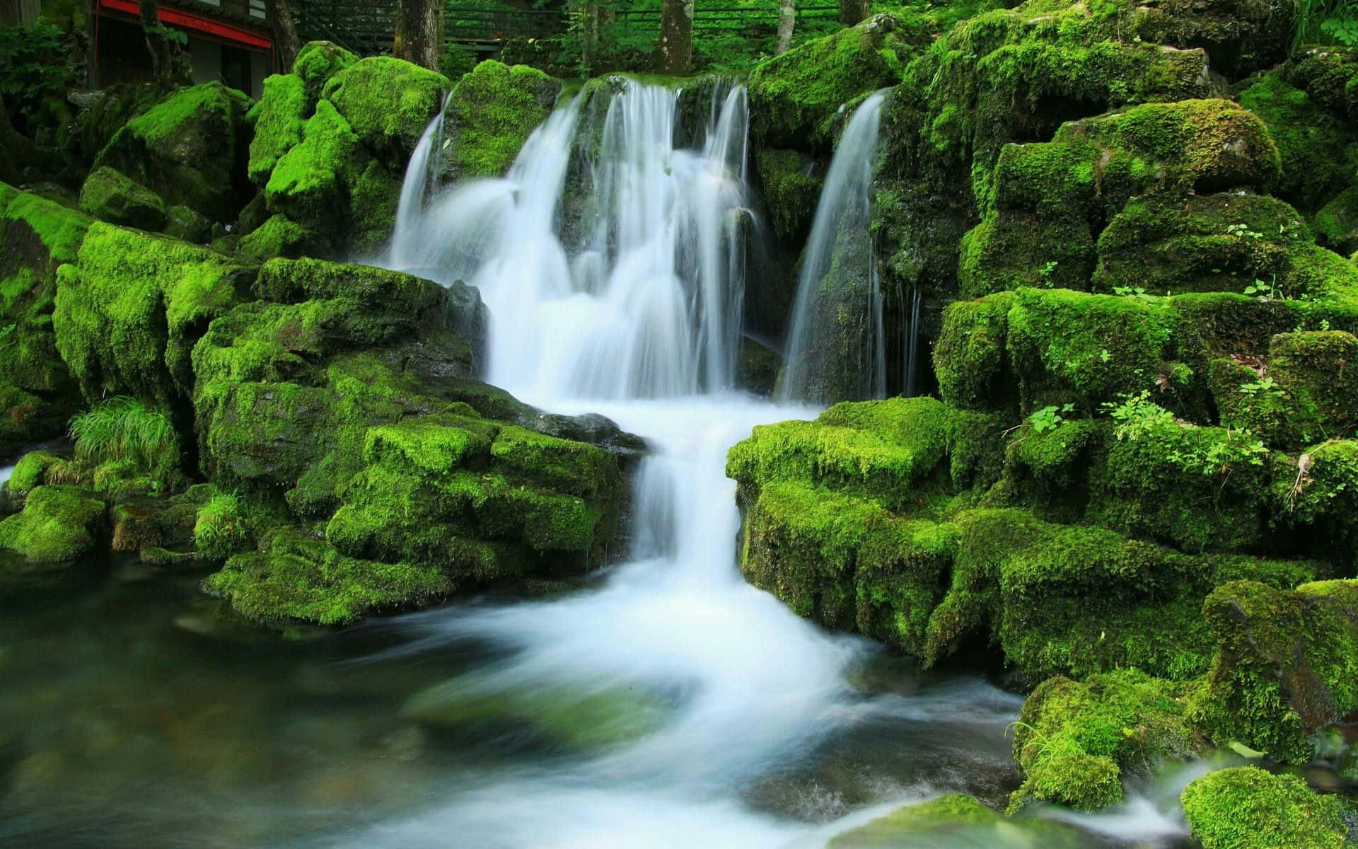 Green Algae On Rocks Waterfall Desktop Background