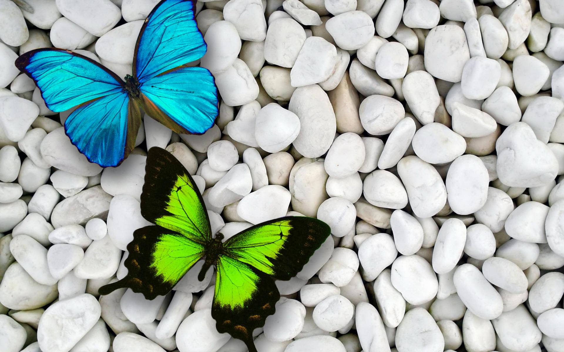 Green And Blue Butterflies Background