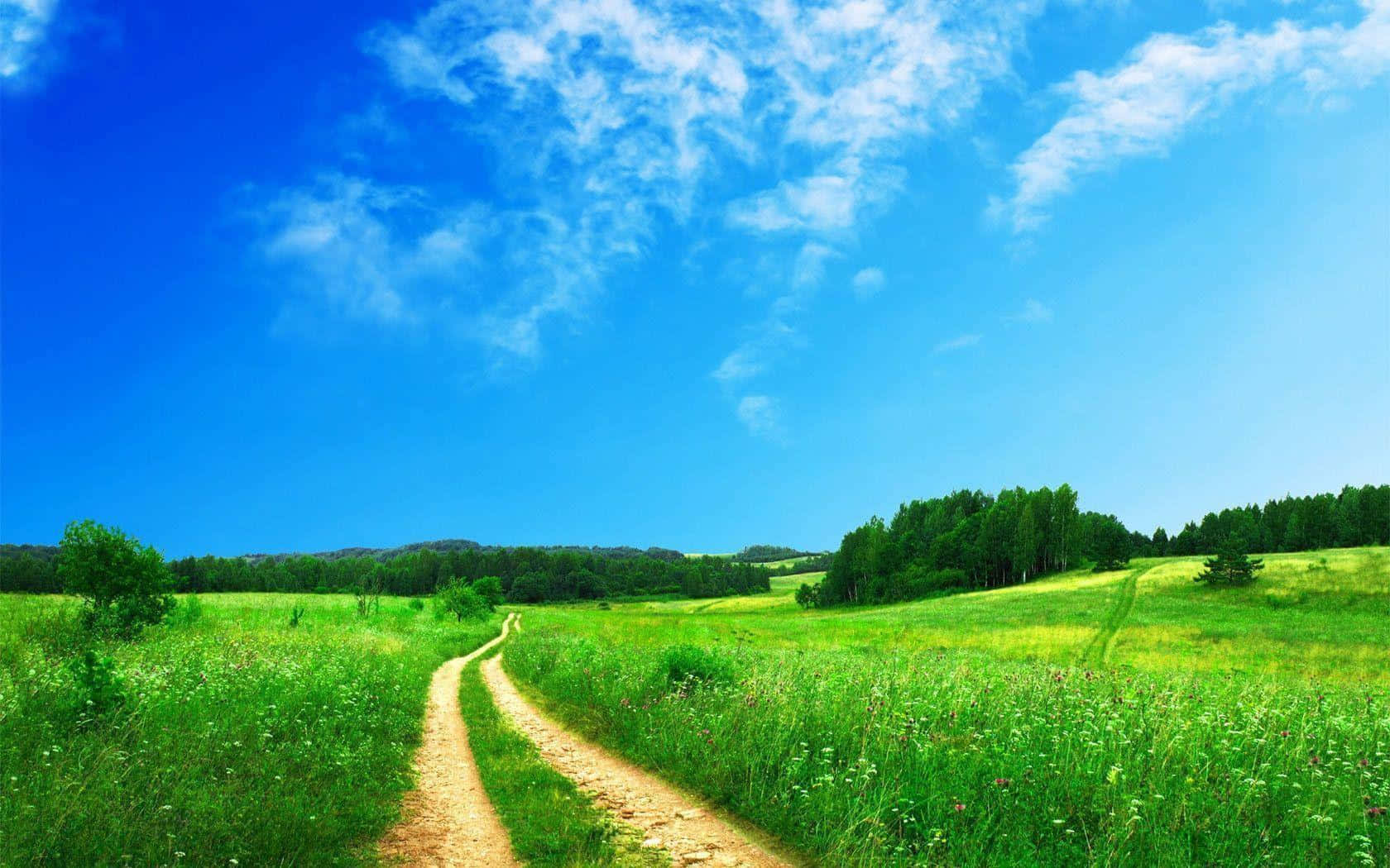 Green And Blue Countryside Winding Road