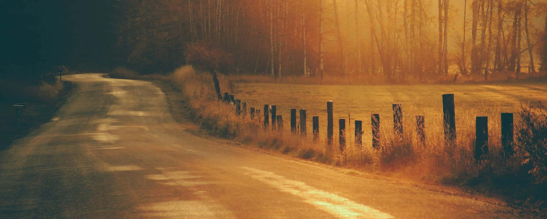 Green And Brown Country Road Desktop