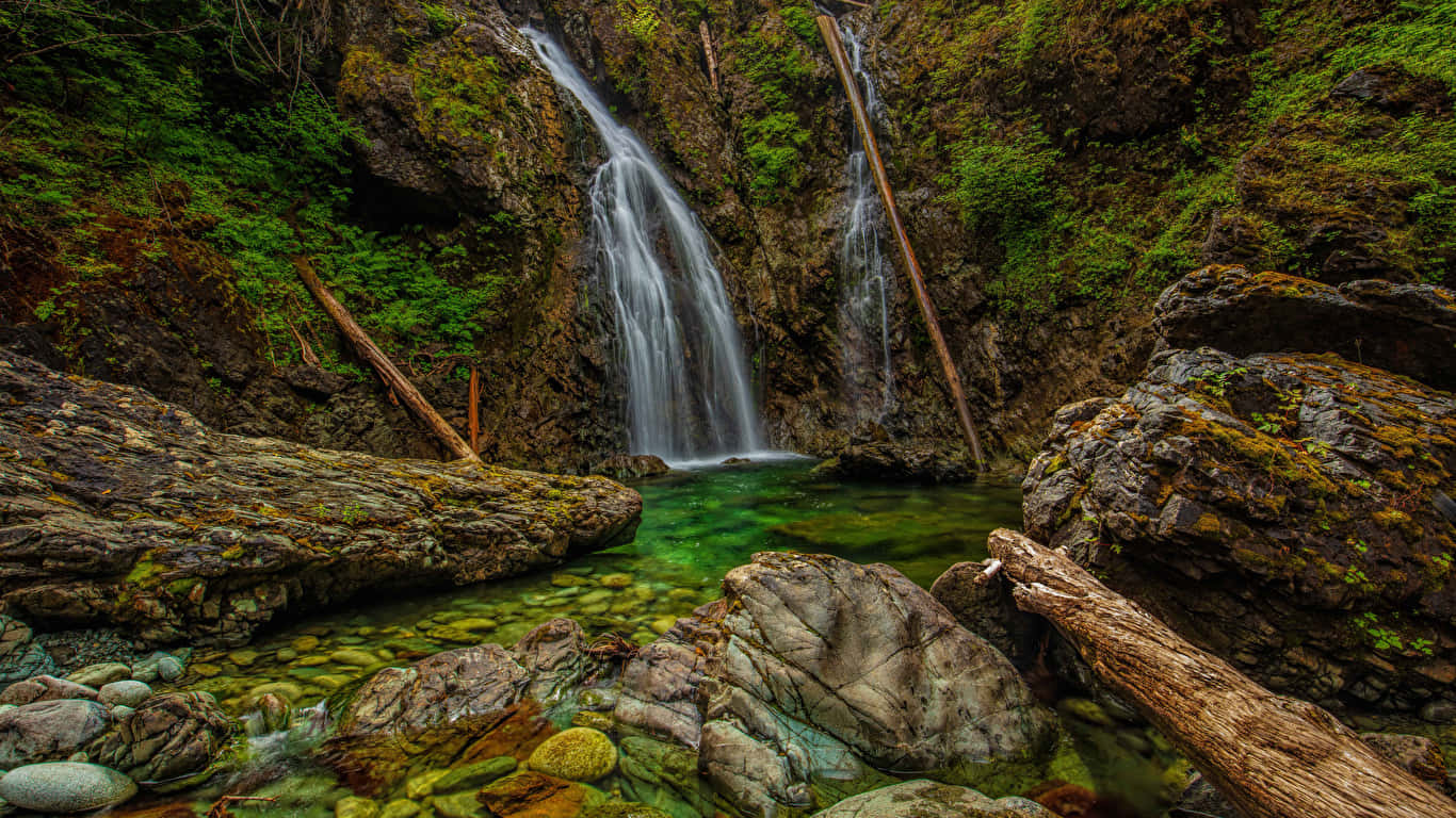 Green And Brown Nature Falls Background