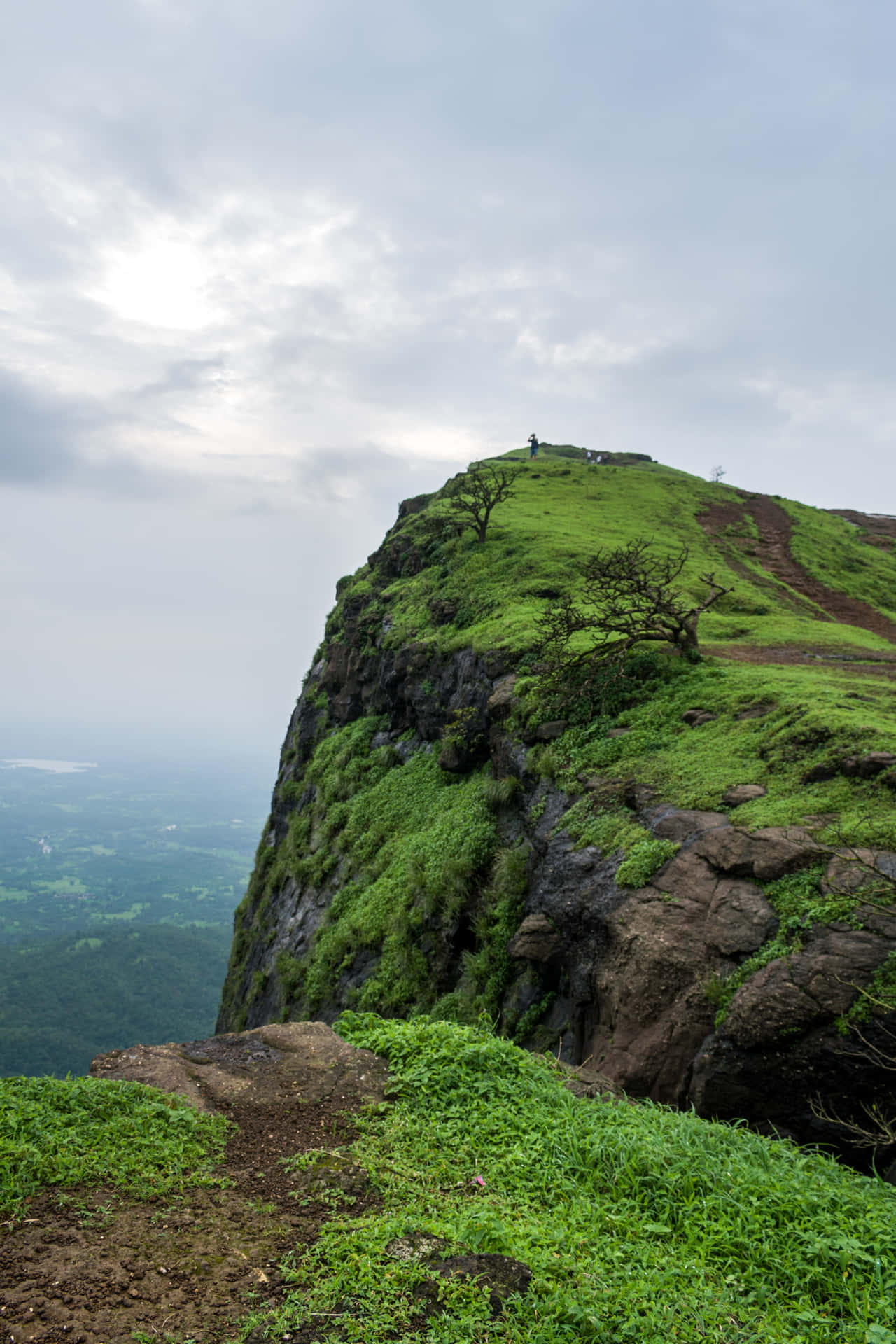 Green And Mossy Hilltop View Background